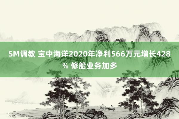 SM调教 宝中海洋2020年净利566万元增长428% 修船业务加多