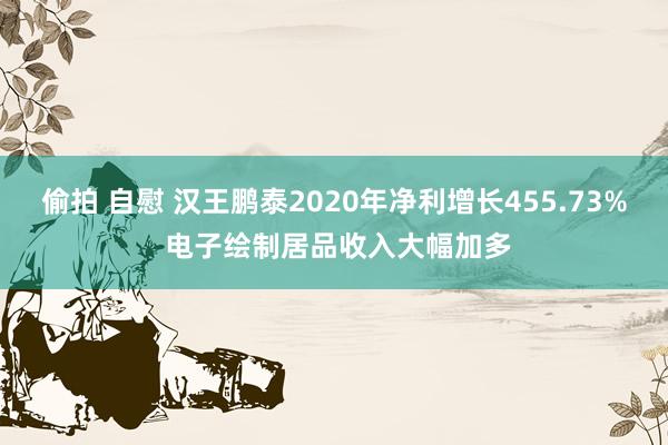 偷拍 自慰 汉王鹏泰2020年净利增长455.73% 电子绘制居品收入大幅加多