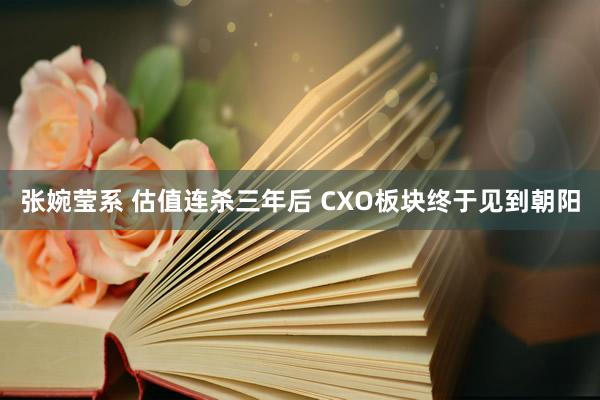 张婉莹系 估值连杀三年后 CXO板块终于见到朝阳