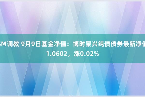 SM调教 9月9日基金净值：博时景兴纯债债券最新净值1.0602，涨0.02%