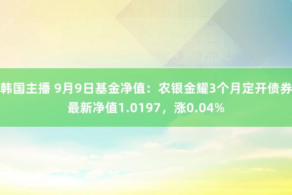 韩国主播 9月9日基金净值：农银金耀3个月定开债券最新净值1.0197，涨0.04%