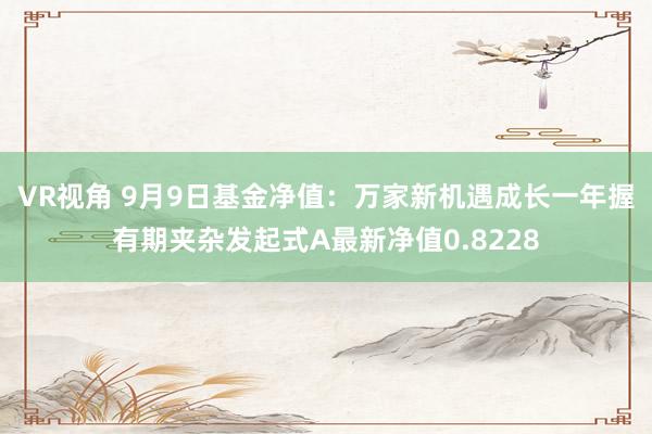 VR视角 9月9日基金净值：万家新机遇成长一年握有期夹杂发起式A最新净值0.8228