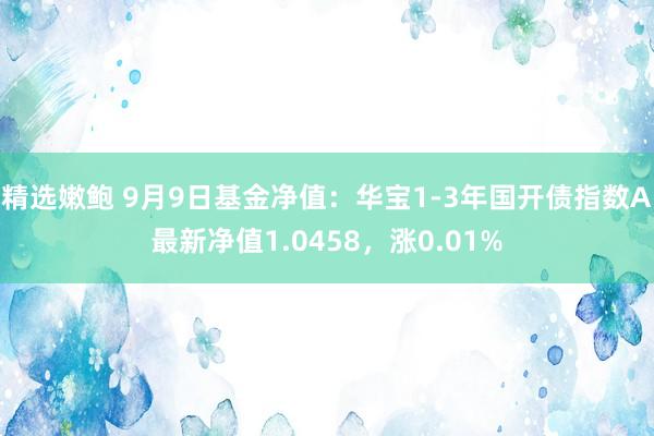 精选嫩鲍 9月9日基金净值：华宝1-3年国开债指数A最新净值1.0458，涨0.01%