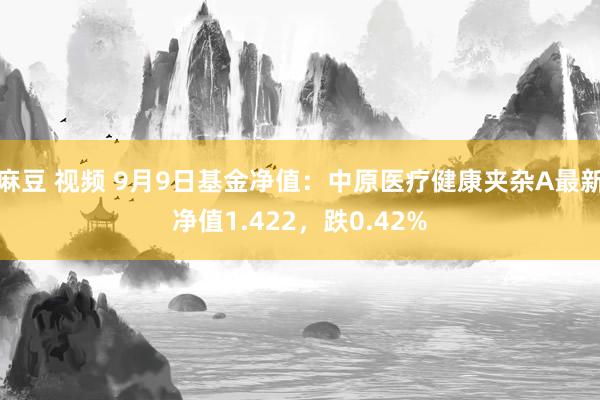 麻豆 视频 9月9日基金净值：中原医疗健康夹杂A最新净值1.422，跌0.42%