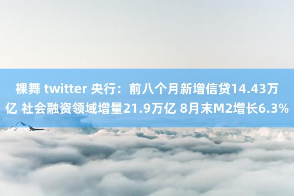 裸舞 twitter 央行：前八个月新增信贷14.43万亿 社会融资领域增量21.9万亿 8月末M2增长6.3%