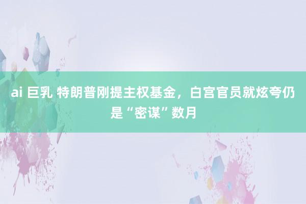 ai 巨乳 特朗普刚提主权基金，白宫官员就炫夸仍是“密谋”数月