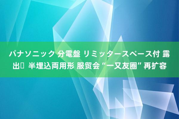 パナソニック 分電盤 リミッタースペース付 露出・半埋込両用形 服贸会“一又友圈”再扩容