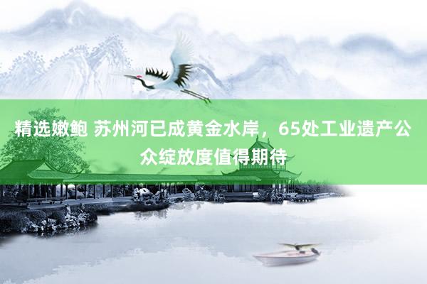 精选嫩鲍 苏州河已成黄金水岸，65处工业遗产公众绽放度值得期待