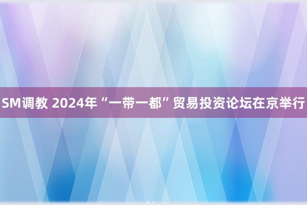 SM调教 2024年“一带一都”贸易投资论坛在京举行