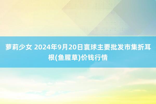 萝莉少女 2024年9月20日寰球主要批发市集折耳根(鱼腥草)价钱行情