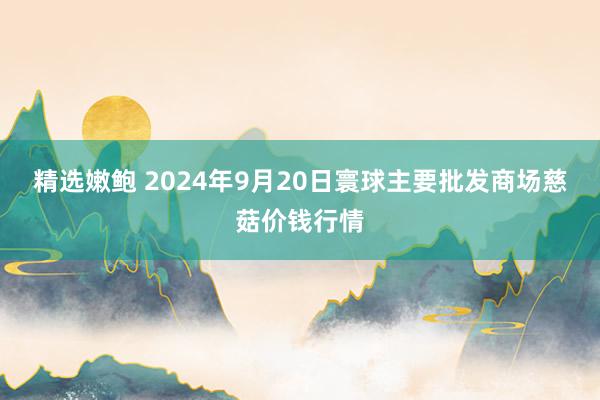 精选嫩鲍 2024年9月20日寰球主要批发商场慈菇价钱行情