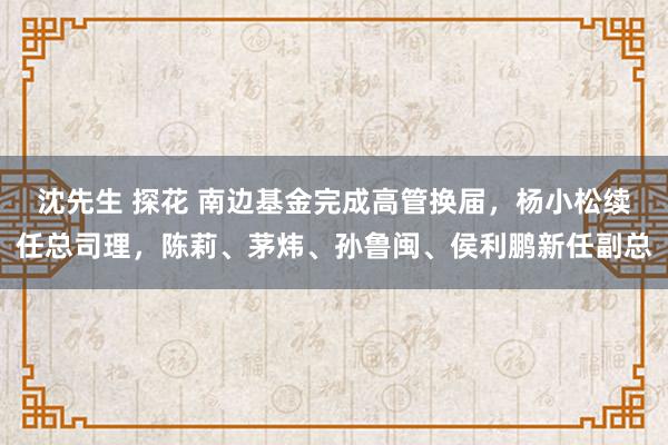 沈先生 探花 南边基金完成高管换届，杨小松续任总司理，陈莉、茅炜、孙鲁闽、侯利鹏新任副总