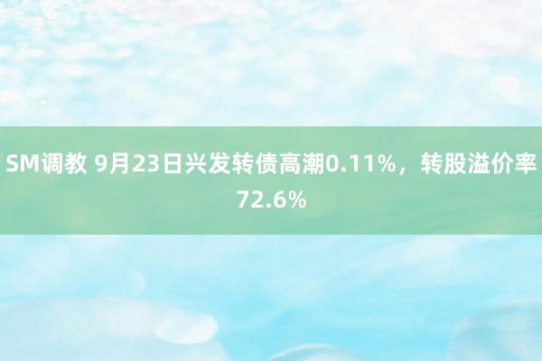 SM调教 9月23日兴发转债高潮0.11%，转股溢价率72.6%