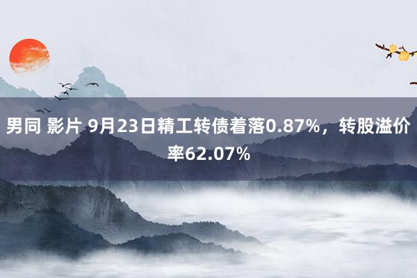 男同 影片 9月23日精工转债着落0.87%，转股溢价率62.07%