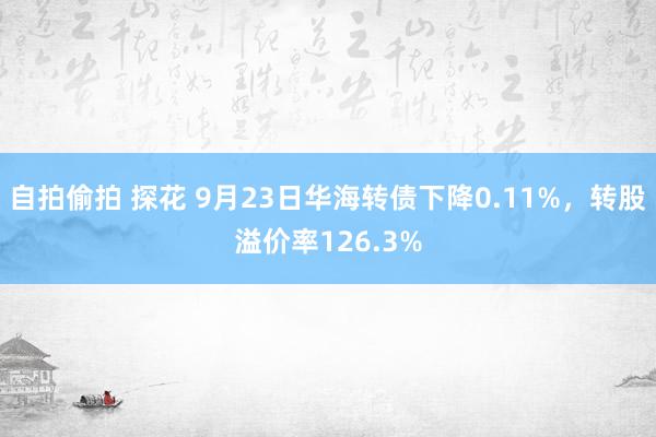 自拍偷拍 探花 9月23日华海转债下降0.11%，转股溢价率126.3%