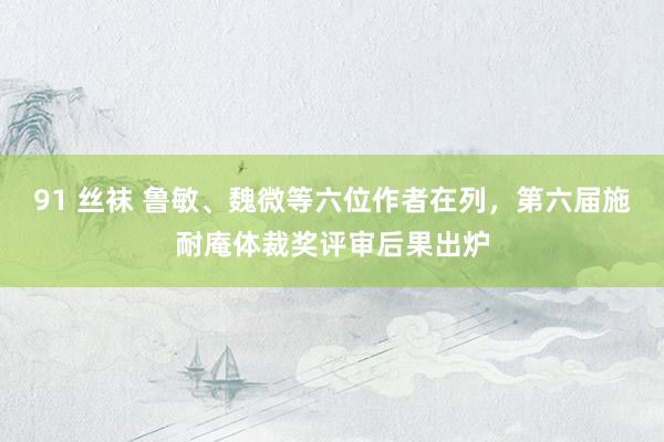 91 丝袜 鲁敏、魏微等六位作者在列，第六届施耐庵体裁奖评审后果出炉