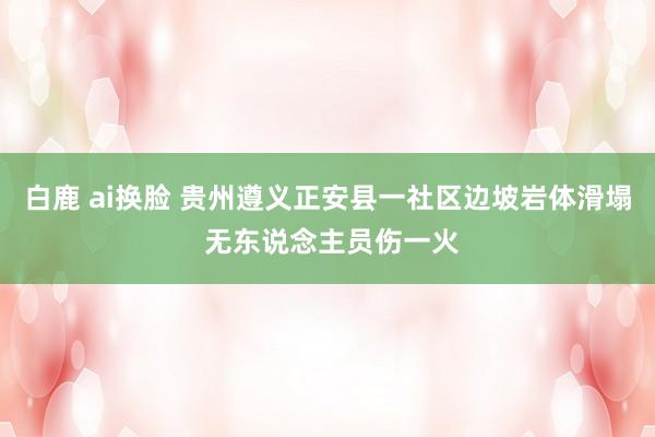 白鹿 ai换脸 贵州遵义正安县一社区边坡岩体滑塌 无东说念主员伤一火