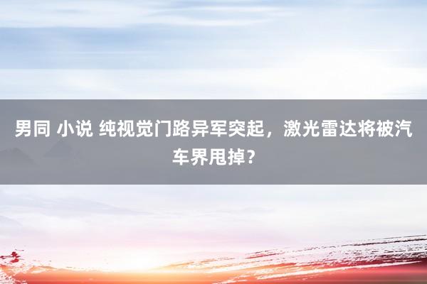 男同 小说 纯视觉门路异军突起，激光雷达将被汽车界甩掉？