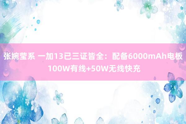 张婉莹系 一加13已三证皆全：配备6000mAh电板 100W有线+50W无线快充