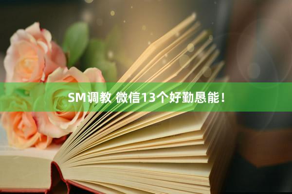 SM调教 微信13个好勤恳能！