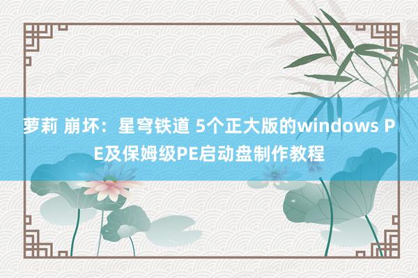 萝莉 崩坏：星穹铁道 5个正大版的windows PE及保姆级PE启动盘制作教程