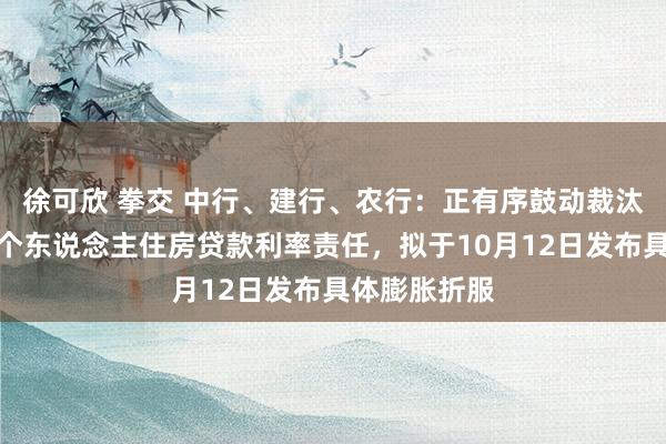 徐可欣 拳交 中行、建行、农行：正有序鼓动裁汰存量生意性个东说念主住房贷款利率责任，拟于10月12日发布具体膨胀折服