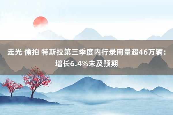 走光 偷拍 特斯拉第三季度内行录用量超46万辆：增长6.4%未及预期