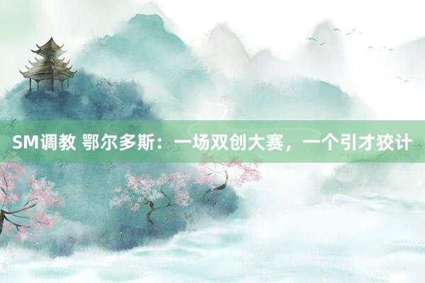 SM调教 鄂尔多斯：一场双创大赛，一个引才狡计