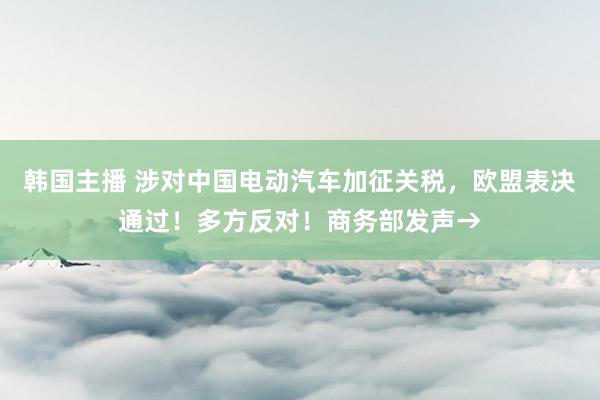 韩国主播 涉对中国电动汽车加征关税，欧盟表决通过！多方反对！商务部发声→