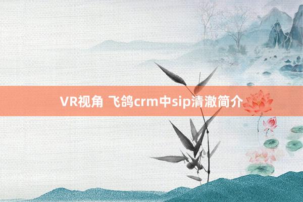 VR视角 飞鸽crm中sip清澈简介