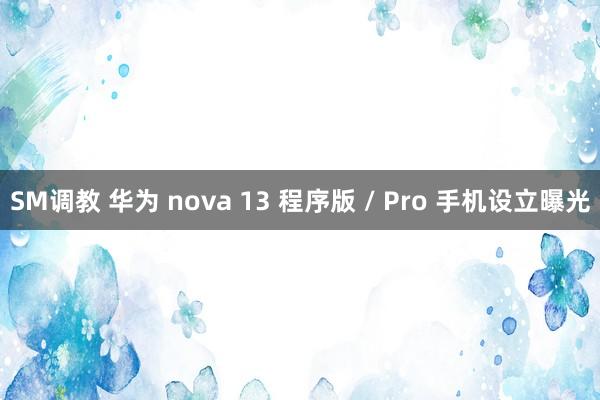 SM调教 华为 nova 13 程序版 / Pro 手机设立曝光