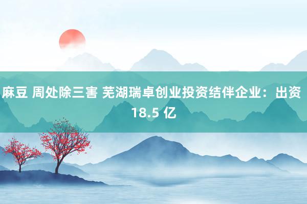 麻豆 周处除三害 芜湖瑞卓创业投资结伴企业：出资 18.5 亿