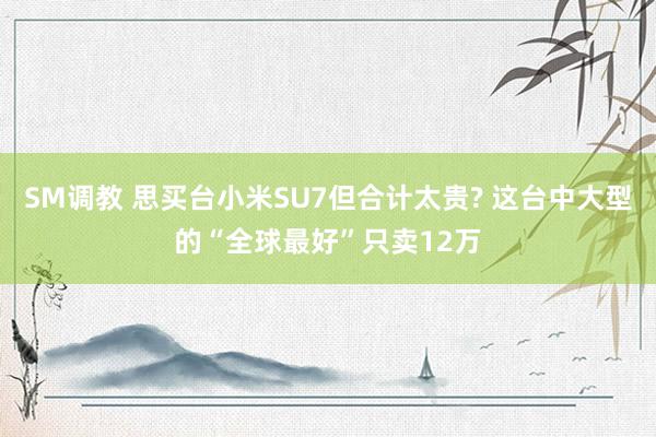 SM调教 思买台小米SU7但合计太贵? 这台中大型的“全球最好”只卖12万