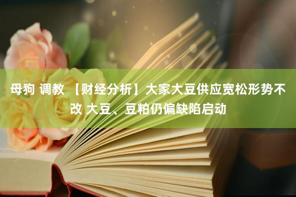 母狗 调教 【财经分析】大家大豆供应宽松形势不改 大豆、豆粕仍偏缺陷启动