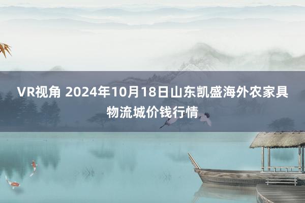 VR视角 2024年10月18日山东凯盛海外农家具物流城价钱行情