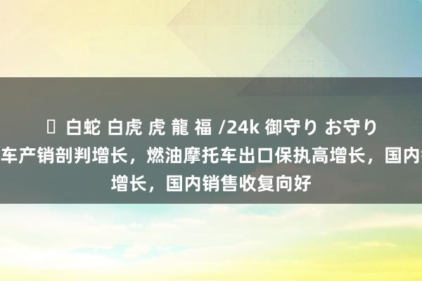 ✨白蛇 白虎 虎 龍 福 /24k 御守り お守り 9月我国摩托车产销剖判增长，燃油摩托车出口保执高增长，国内销售收复向好