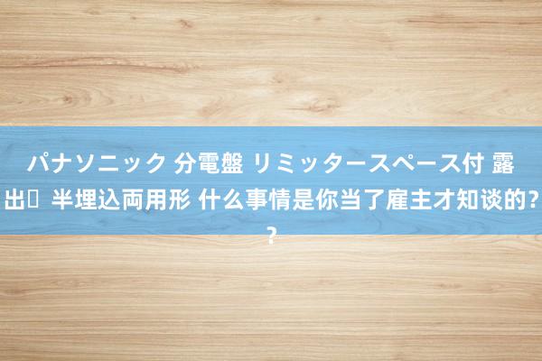 パナソニック 分電盤 リミッタースペース付 露出・半埋込両用形 什么事情是你当了雇主才知谈的？