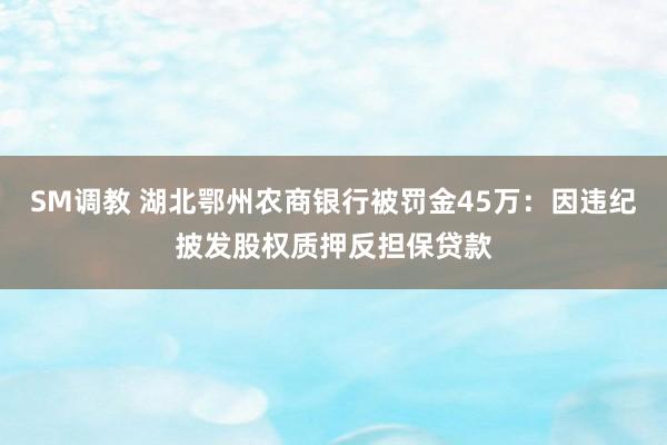 SM调教 湖北鄂州农商银行被罚金45万：因违纪披发股权质押反担保贷款