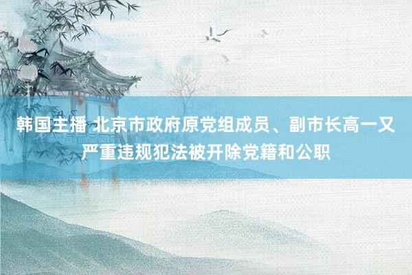 韩国主播 北京市政府原党组成员、副市长高一又严重违规犯法被开除党籍和公职