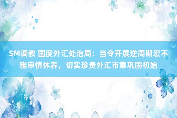 SM调教 国度外汇处治局：当令开展逆周期宏不雅审慎休养，切实珍贵外汇市集巩固初始