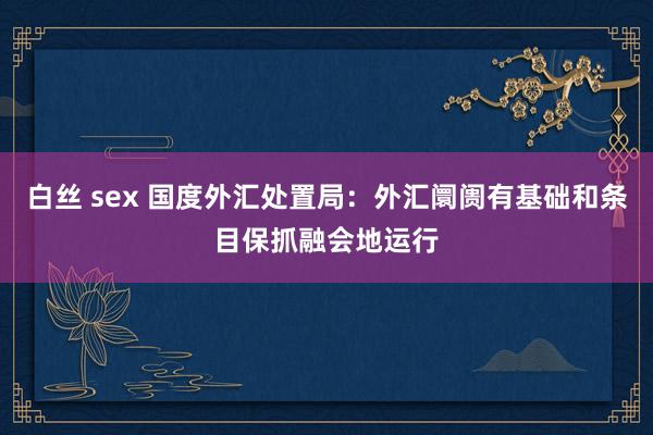 白丝 sex 国度外汇处置局：外汇阛阓有基础和条目保抓融会地运行