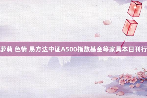 萝莉 色情 易方达中证A500指数基金等家具本日刊行