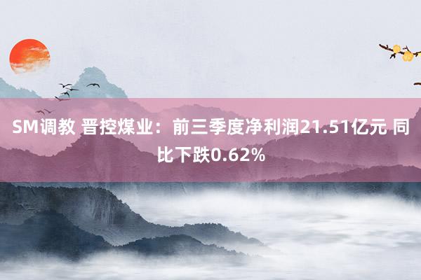 SM调教 晋控煤业：前三季度净利润21.51亿元 同比下跌0.62%