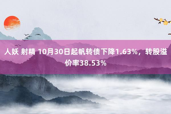 人妖 射精 10月30日起帆转债下降1.63%，转股溢价率38.53%