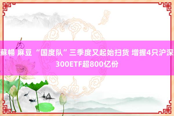 蘇暢 麻豆 “国度队”三季度又起始扫货 增握4只沪深300ETF超800亿份