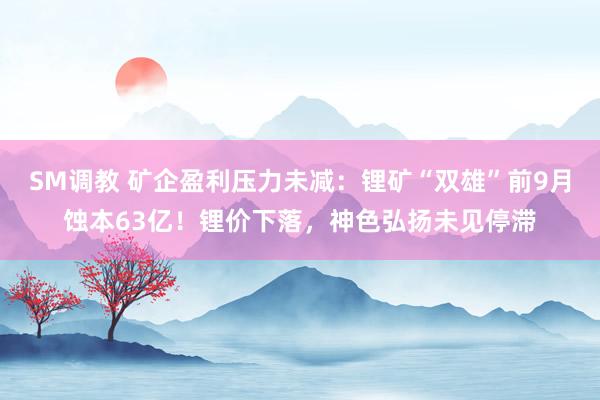 SM调教 矿企盈利压力未减：锂矿“双雄”前9月蚀本63亿！锂价下落，神色弘扬未见停滞