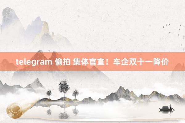 telegram 偷拍 集体官宣！车企双十一降价