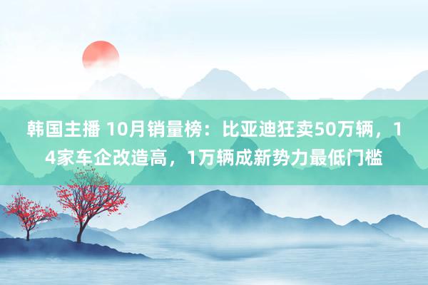 韩国主播 10月销量榜：比亚迪狂卖50万辆，14家车企改造高，1万辆成新势力最低门槛