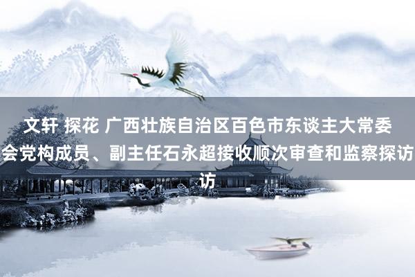 文轩 探花 广西壮族自治区百色市东谈主大常委会党构成员、副主任石永超接收顺次审查和监察探访