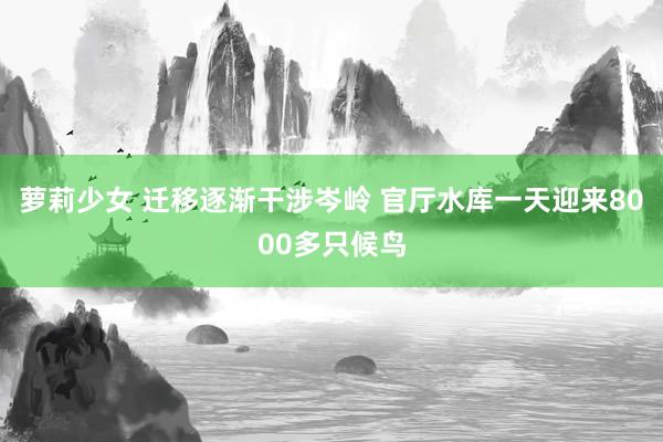 萝莉少女 迁移逐渐干涉岑岭 官厅水库一天迎来8000多只候鸟